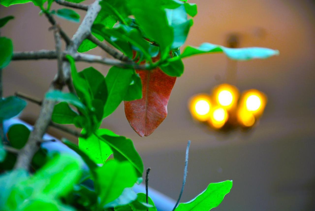 Yellow Homestay - Modern 2Bhk Ac Stay Jabalpur Eksteriør billede